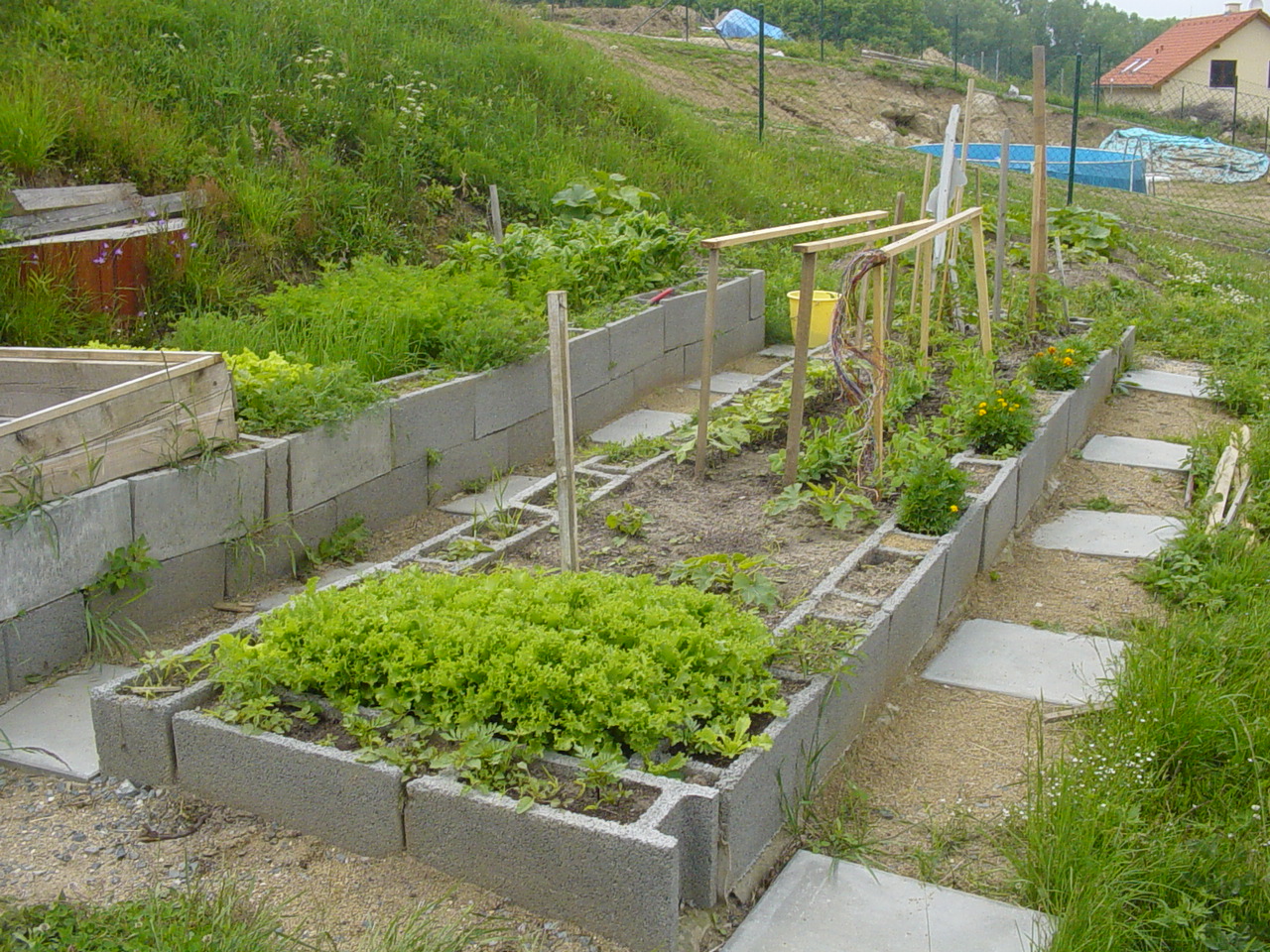 My herb garden when I started it ten years ago
