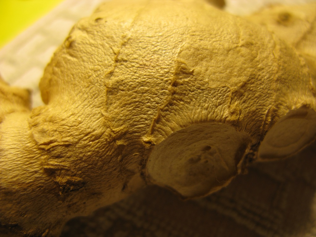 Detail of ginger - Creative Commons image by Miran Rijavec