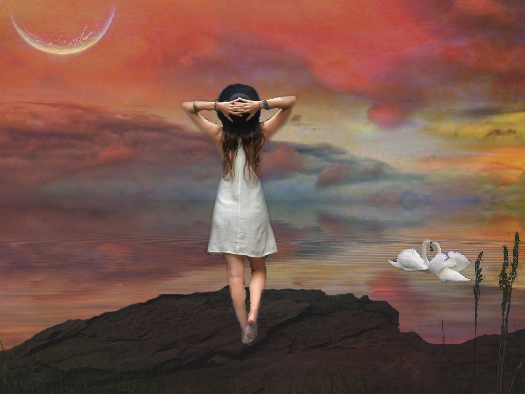 Creative Commons image by Dianne Lacourciere