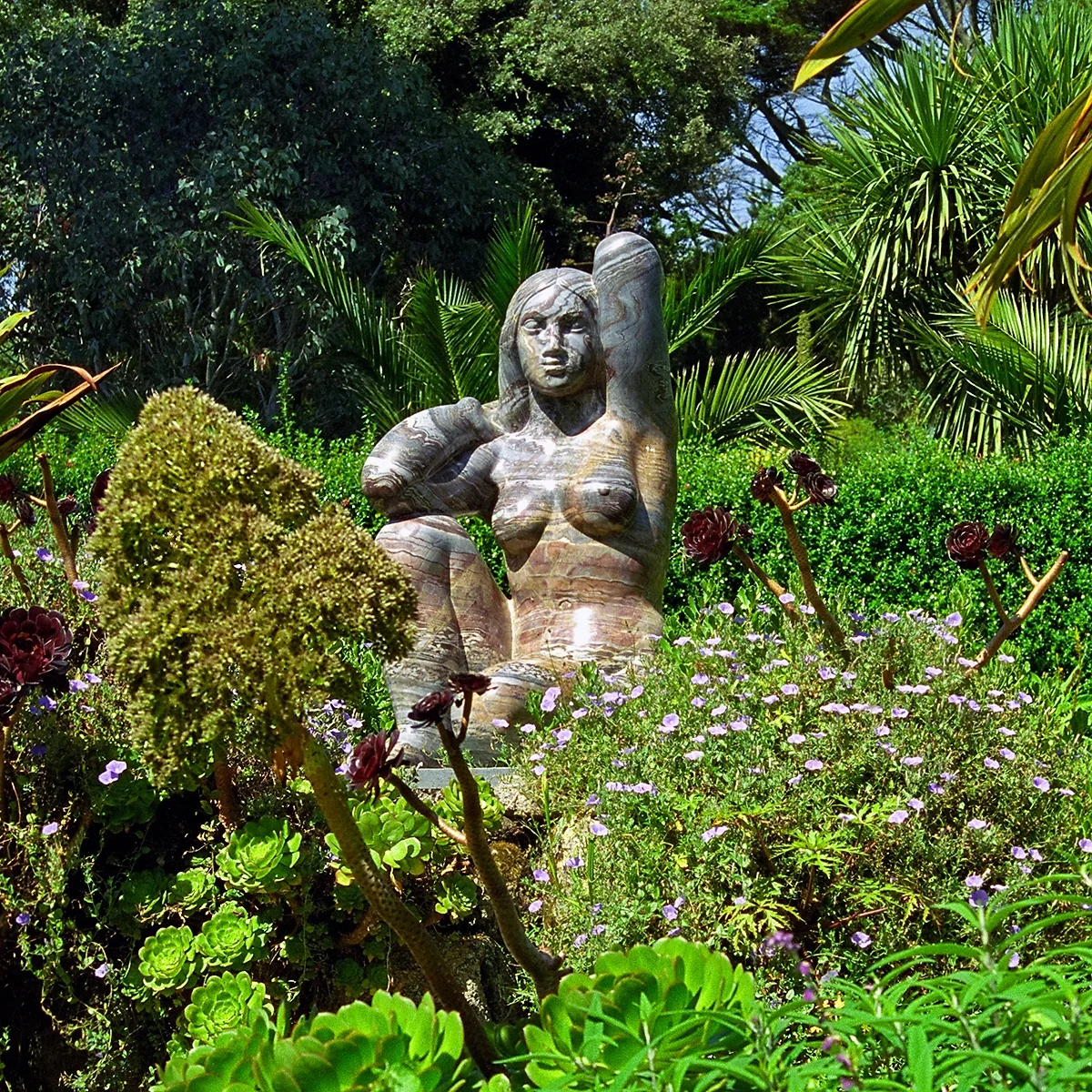 Creative Commons image by UK Garden Photos of Flickr.com