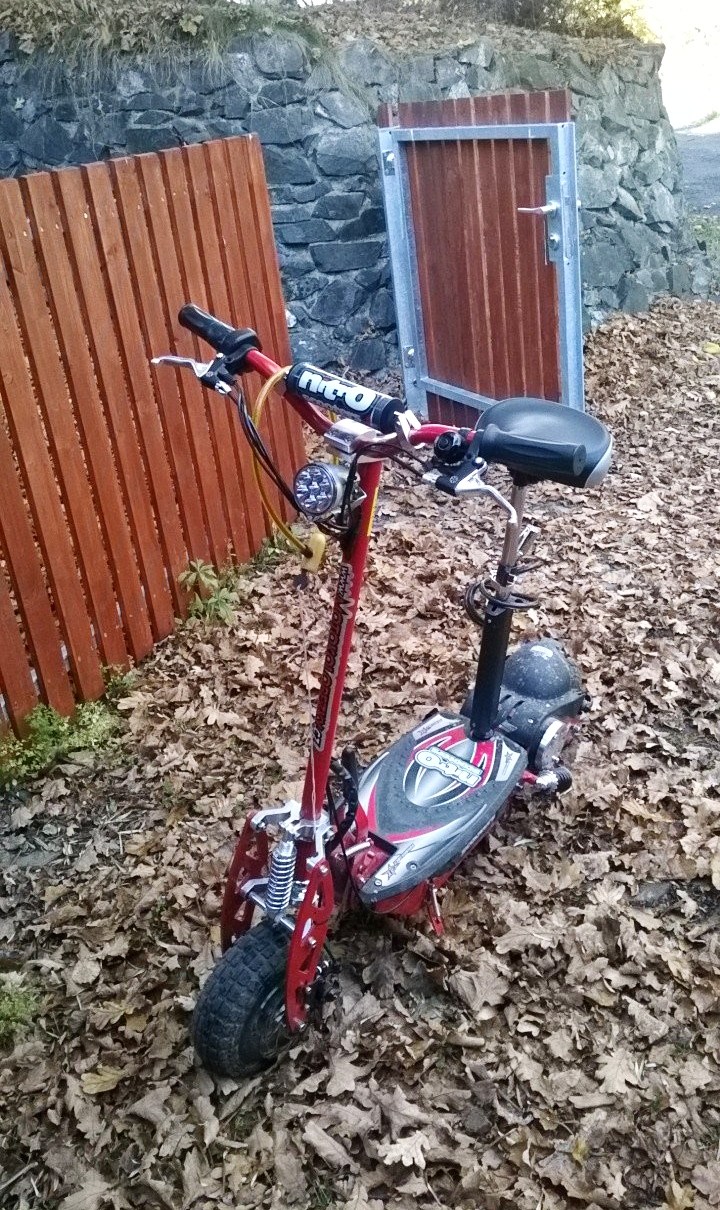 A picture of my actual famous scooter. Image by Arie Farnam
