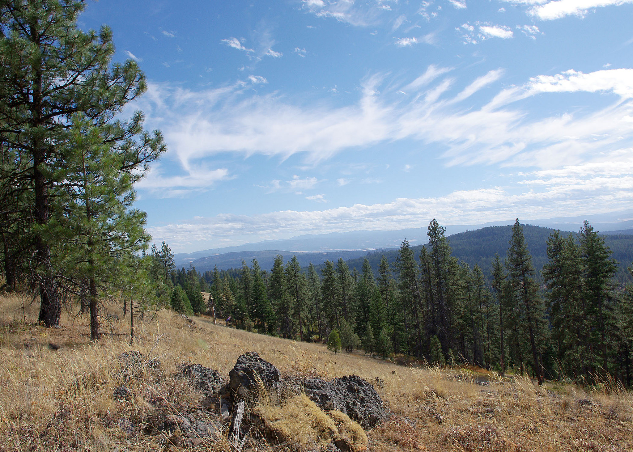 Creative Commons image by the Oregon Department of Fish and Wildlife