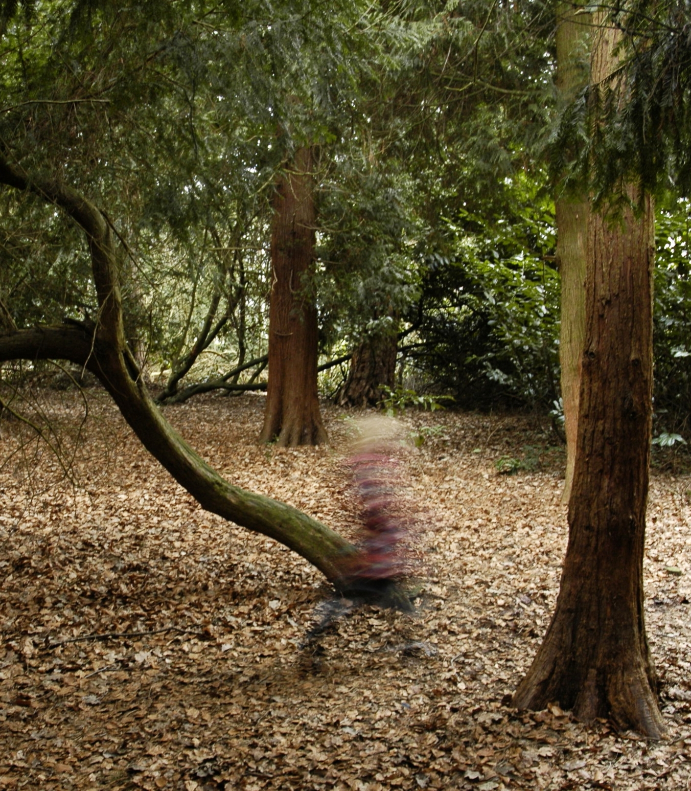 Creative Commons image by Paul Stainthorp