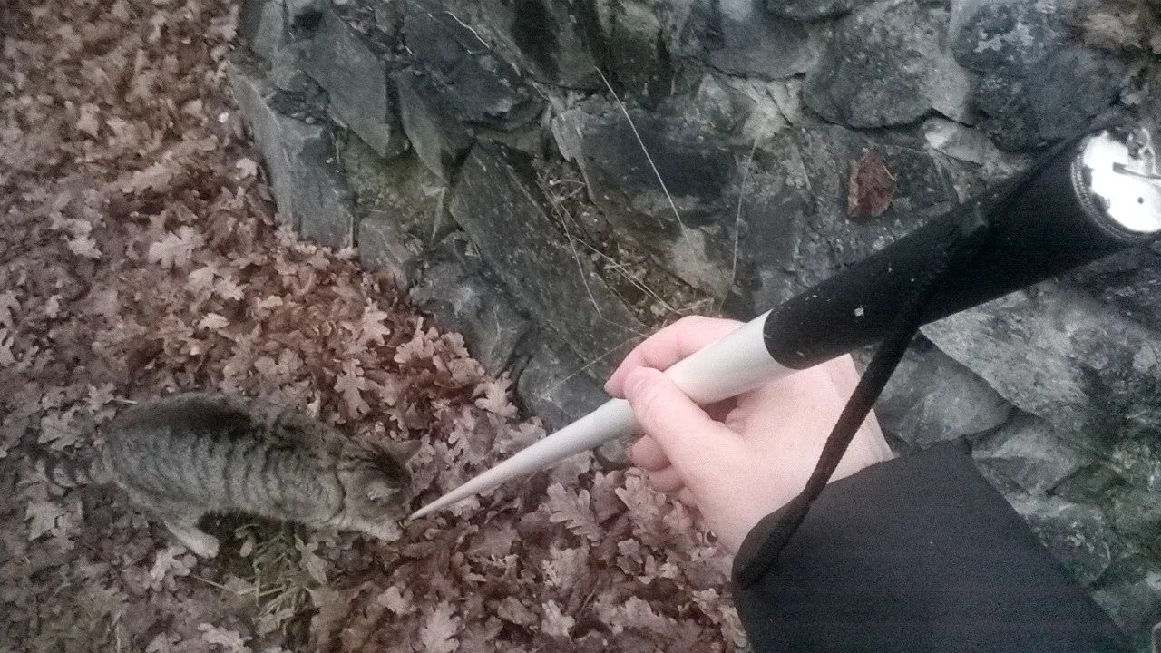 To cane or not to cane.jpg