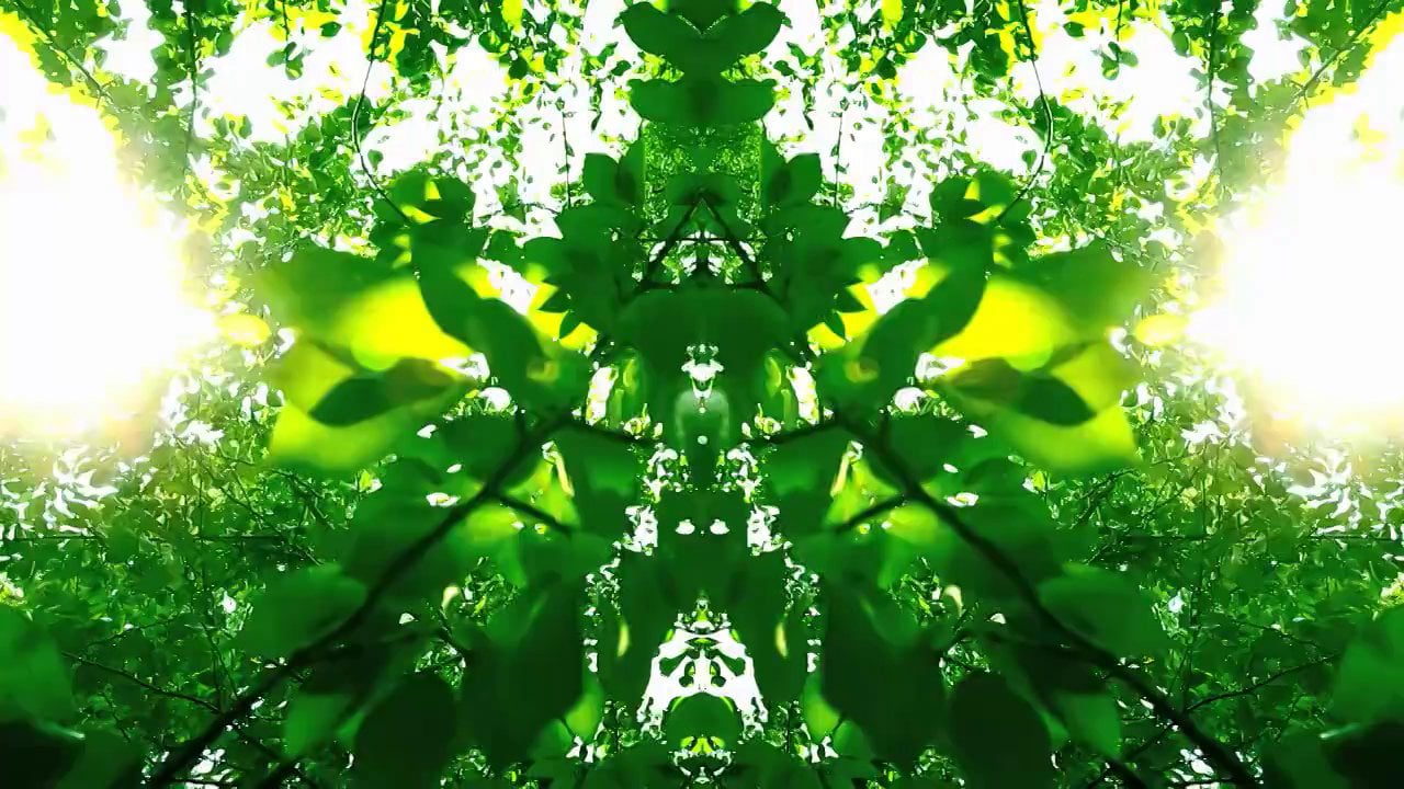 Shanghai Greens - Lane Crawford RGB