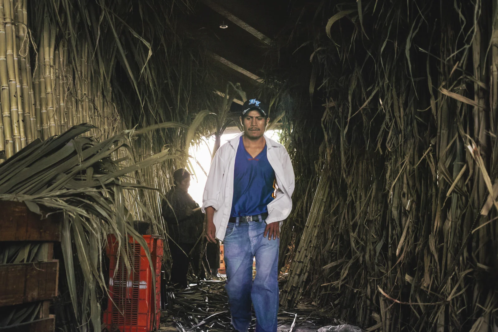 15904318350_a87f54b7a6_h 1.jpg