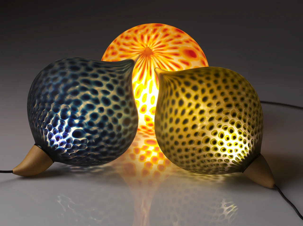 Spotted Glass Pods 2008
