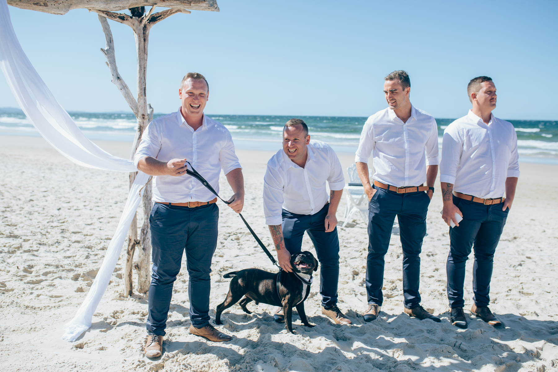dogs at weddings Byron Bay celebrant 1.jpg