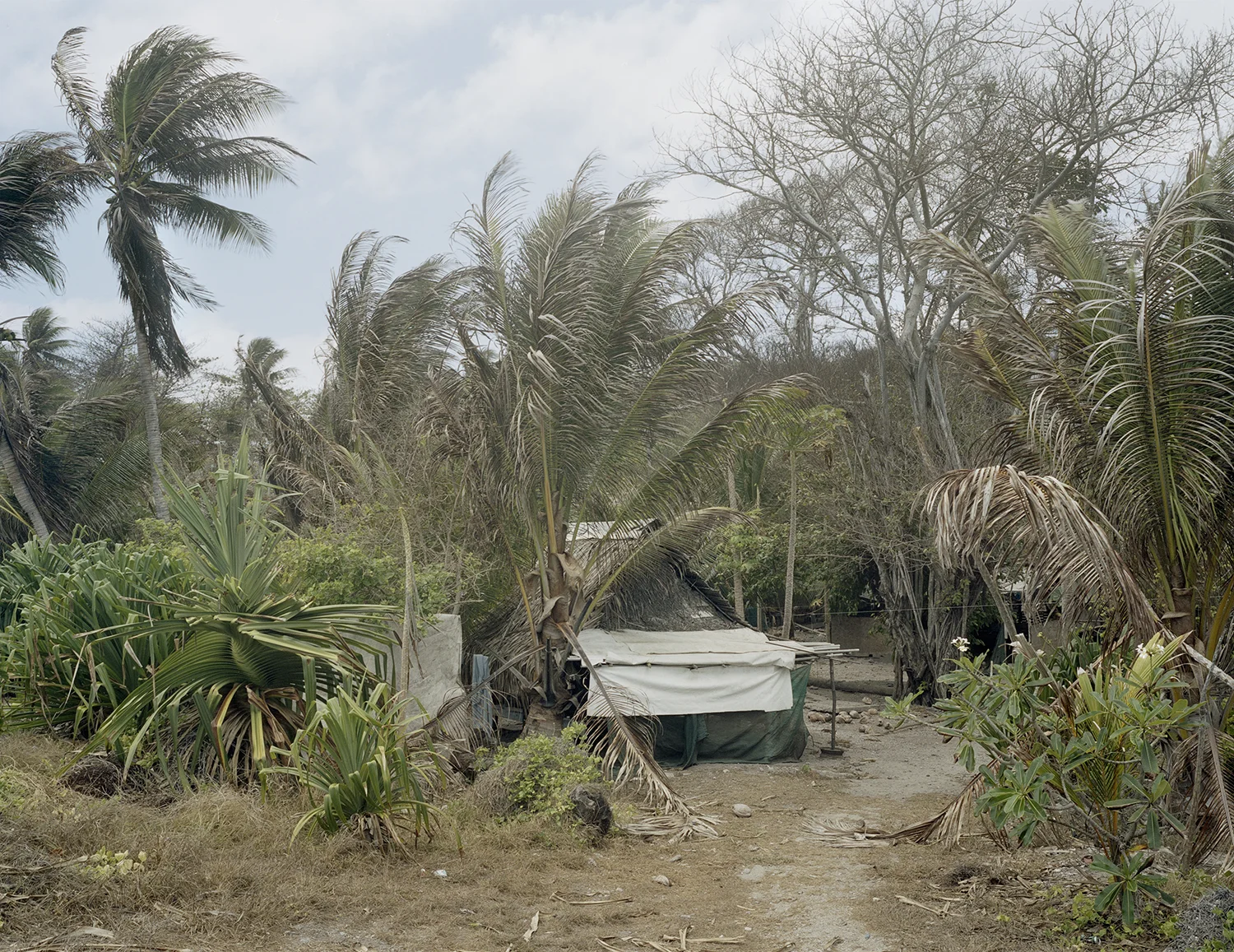 Nauru26.jpg