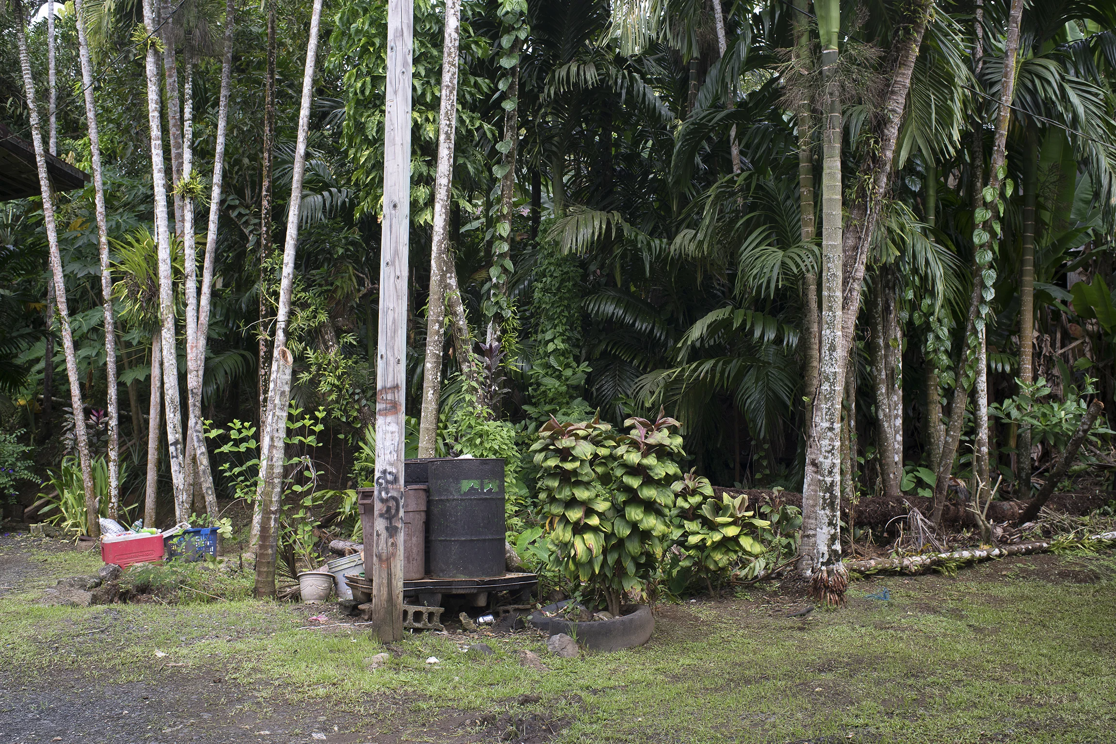 AnjaEgelke_Palau_06.jpg