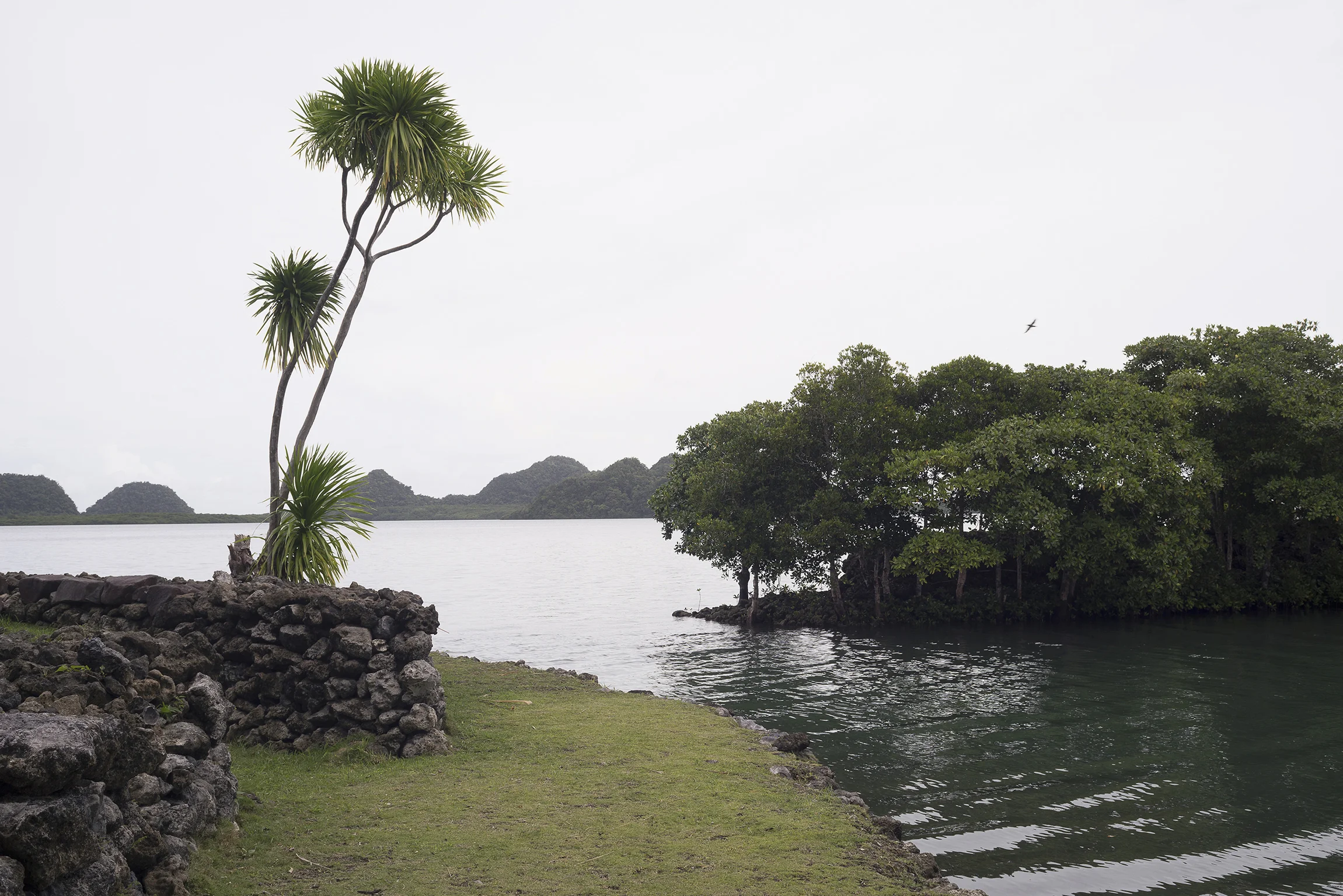 AnjaEgelke_Palau_11.jpg