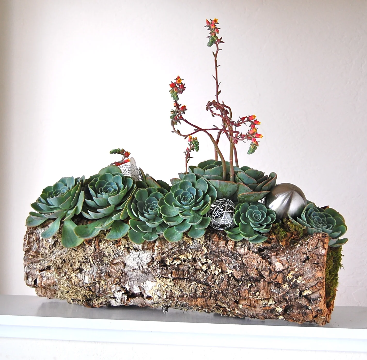 Extra Large Cork Bark Log