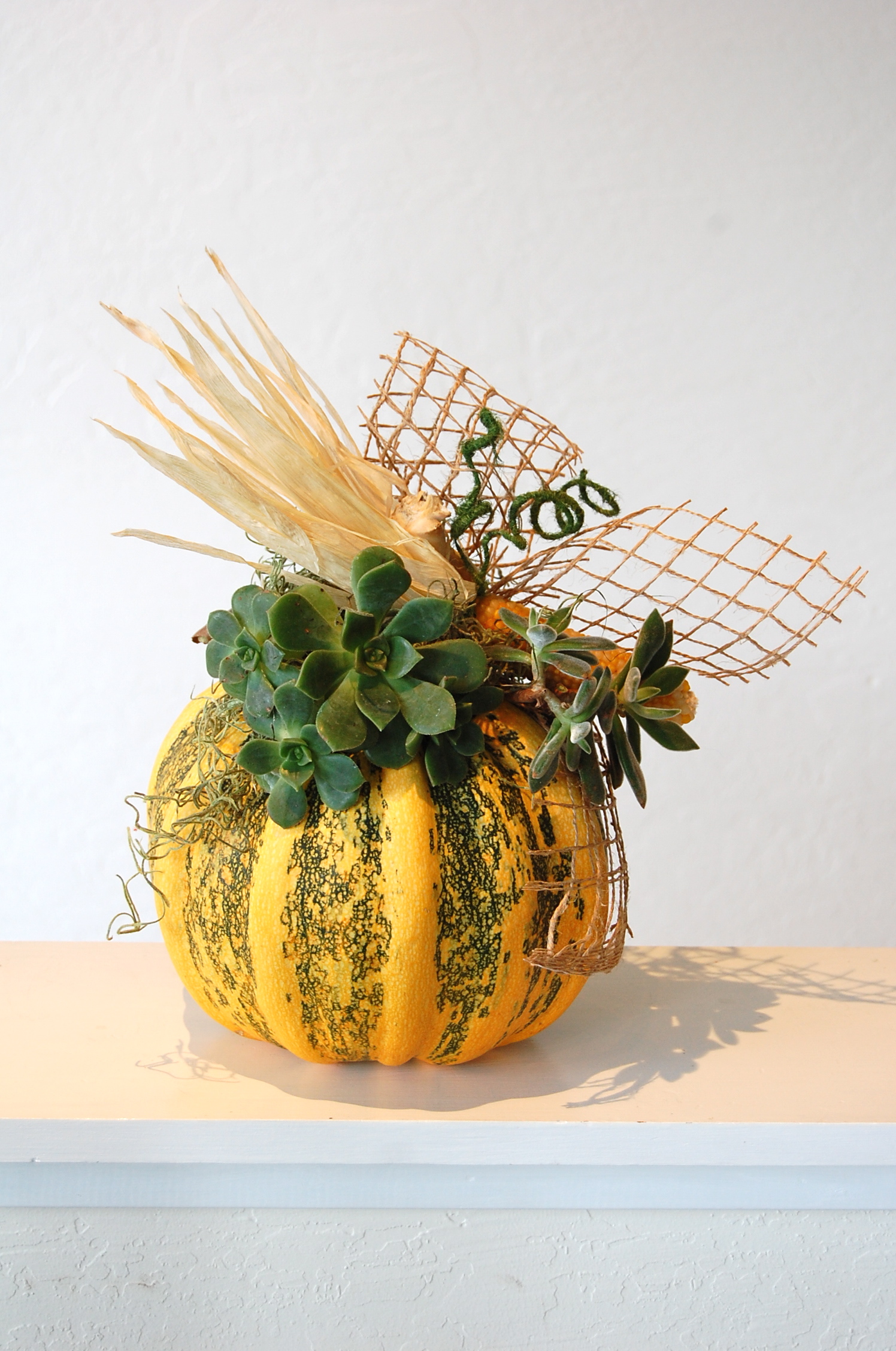 Autumn-Theme Pumpkin