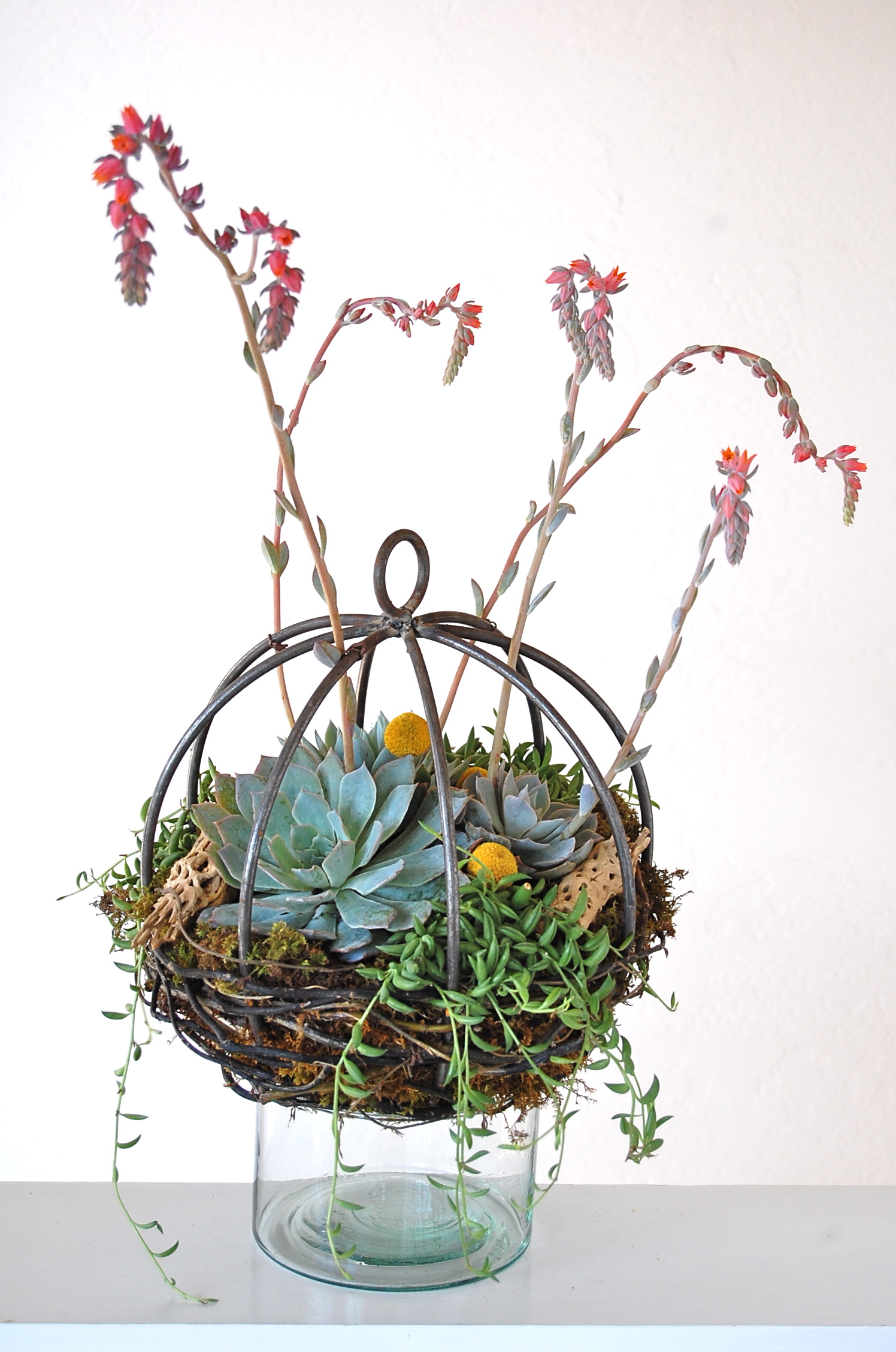 Small Metal Orb Centerpiece or Hanging Garden With Extension Hook