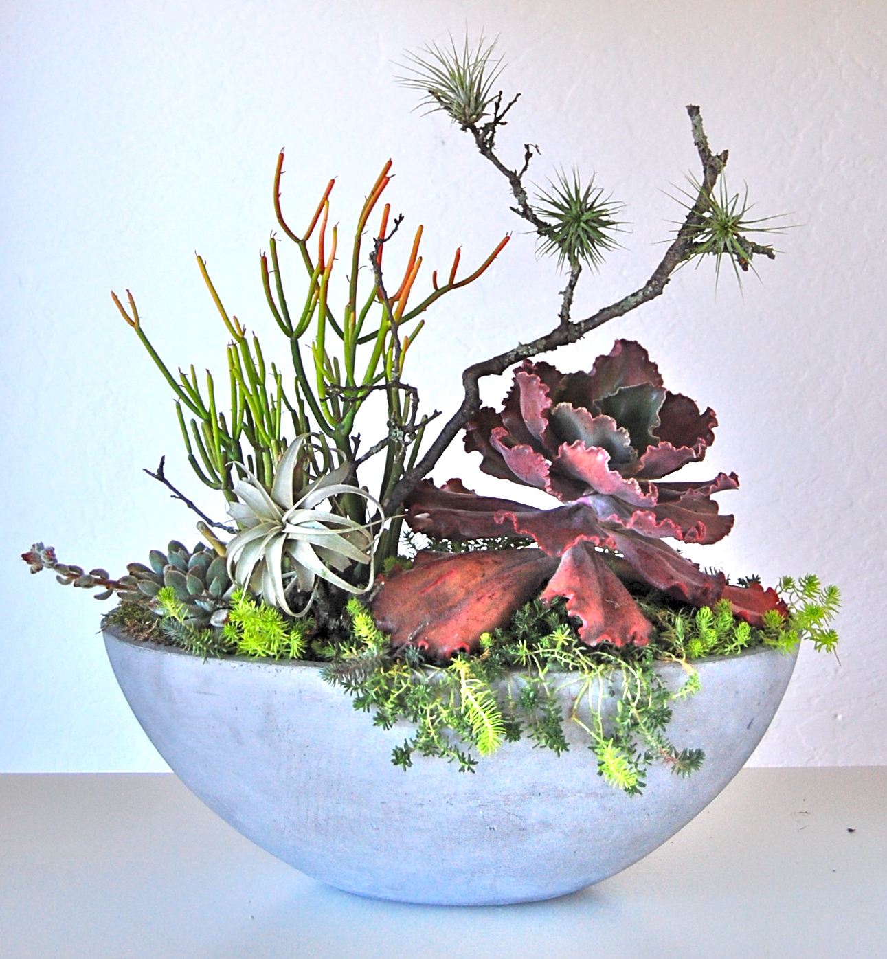 LARGE CONCRETE OVAL BOWL 21"w x 12"d x 25"h