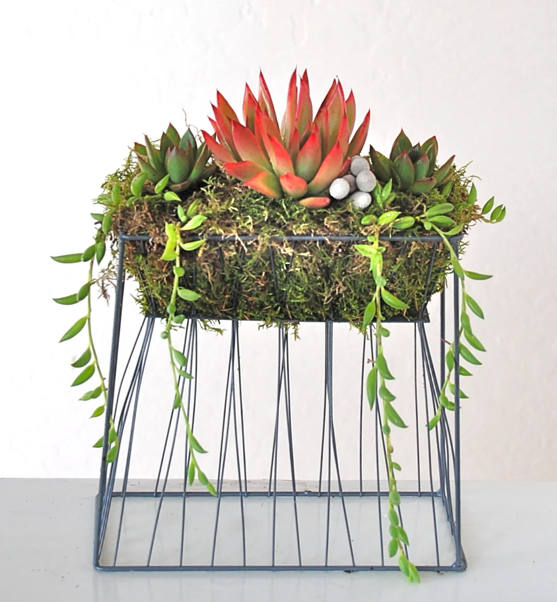 SUSPENSION WIRE PLANTER Small: 8.5"w x 5"d x 12"h; Large (not shown): 11"w x 5"d x 12"h