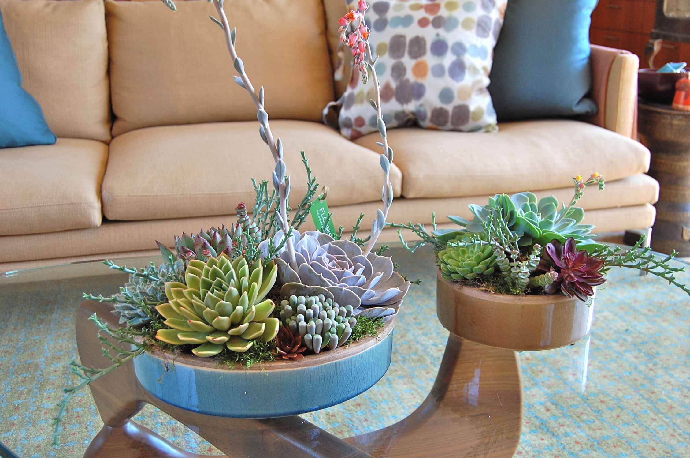 CUSTOM DESIGNED PLANTERS FOR FAMILY IN LARKSPUR, CA