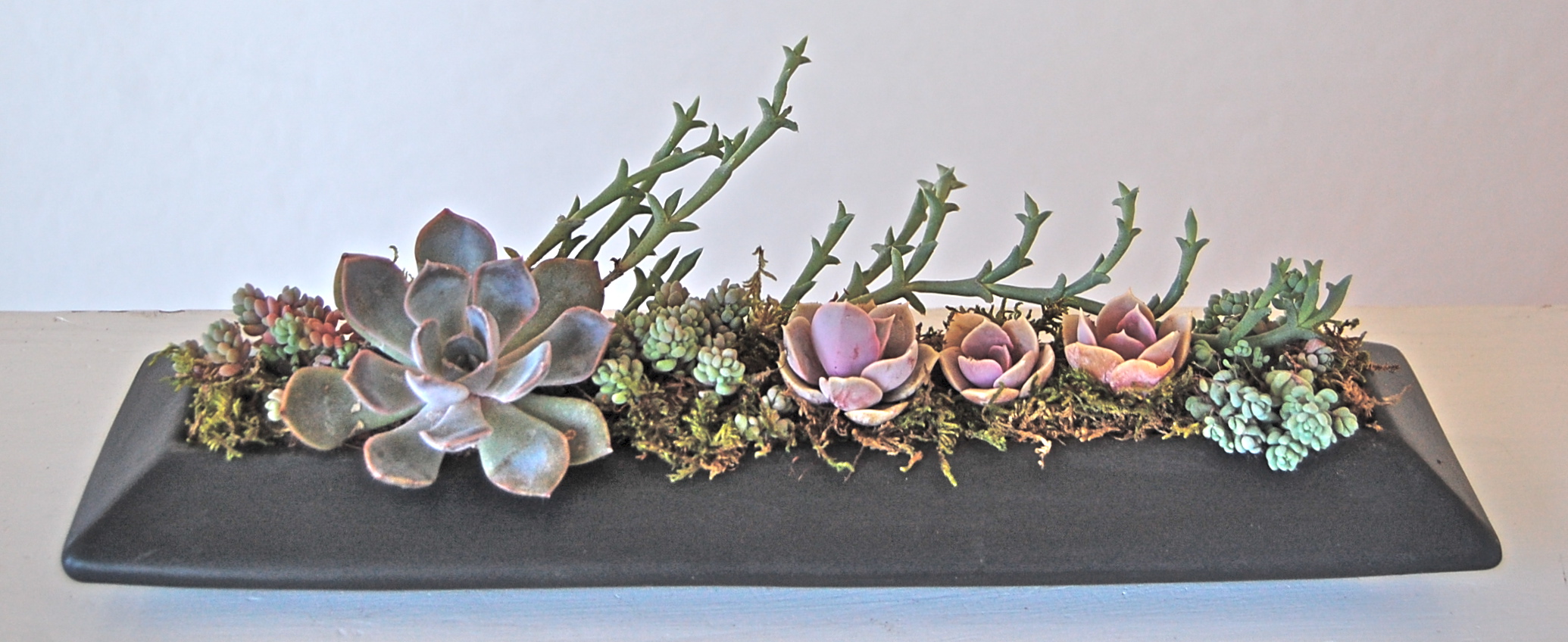 ZEN GARDEN (Limited stock available in white only) Lg: 13.5"w x 3.5"d x 4"h (shown Sm (not shown): 8.5" x 3.5"d x 4" h