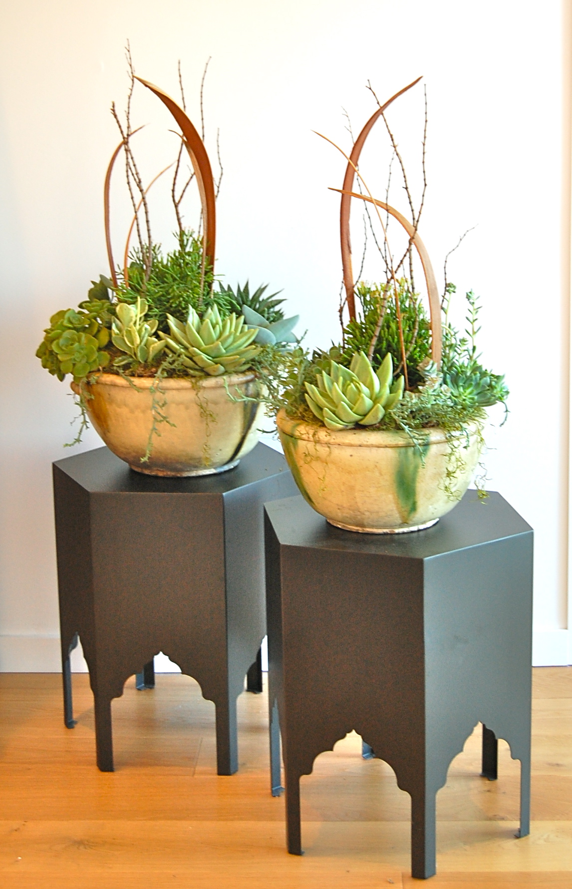 CUSTOM PLANTING IN ANTIQUE BOWLS IN CORTE MADERA, CA
