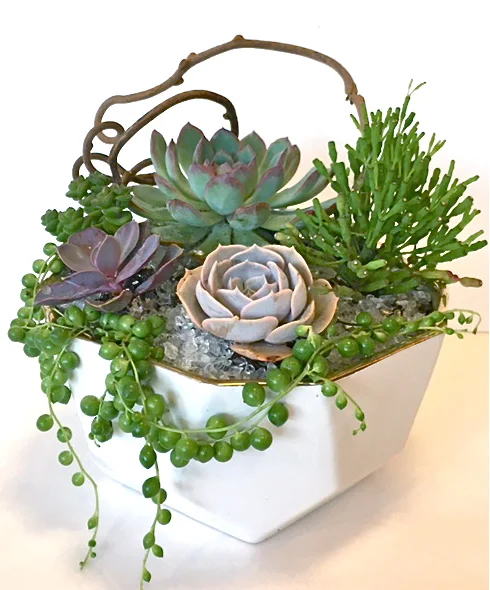 WHITE WITH GOLD RIM GEOMETRIC BOWL 10"w x 11"h (Smaller sizes available)