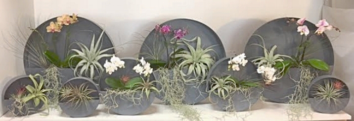 GROUPING OF CIRCULAR ZINC WALL HANGING GARDENS FOR FAMILY IN KENTFIELD, CA