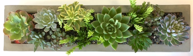 LOW-PROFILE CONCRETE PLANTER 32"w x 7"d x 8"h; 24"w x 7"d x 5"h (as shown)