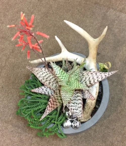 CONCRETE CYLINDER POTS WITH ANTLER 11"w x 12"h (Smaller size available)