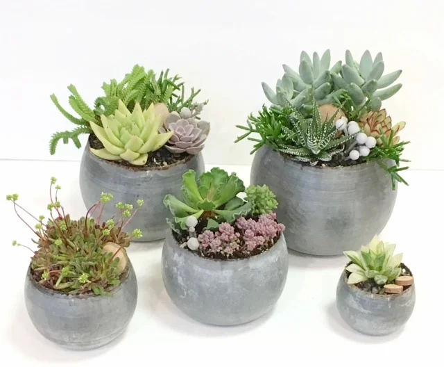 REFRESHED METAL POT COLLECTION.