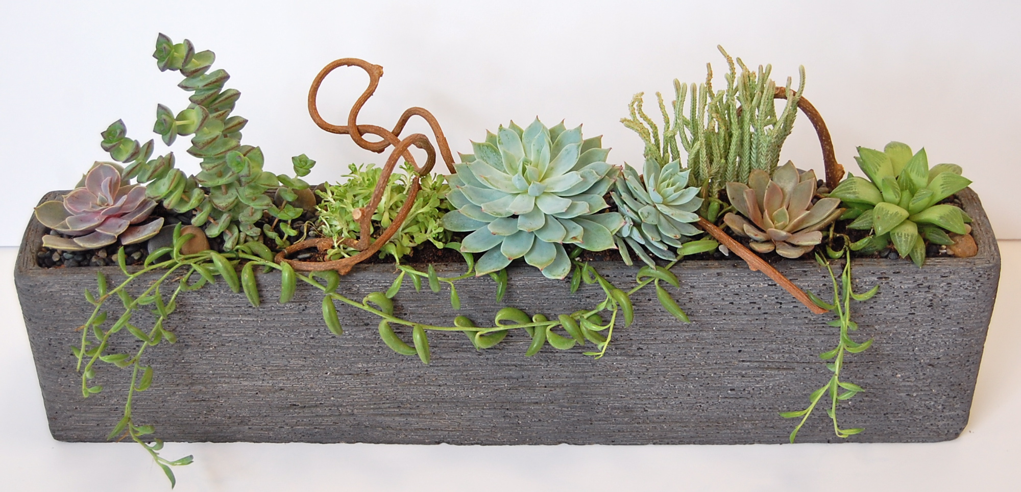 LOW-PROFILE DARK GREY CONCRETE PLANTER 20"w x 3"d x 8"h (as shown); 12"w x 3"d x 7"h.