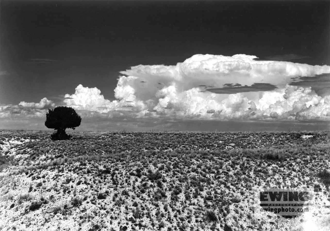 Rouke Rd. Comanche Grasslands, Colorado