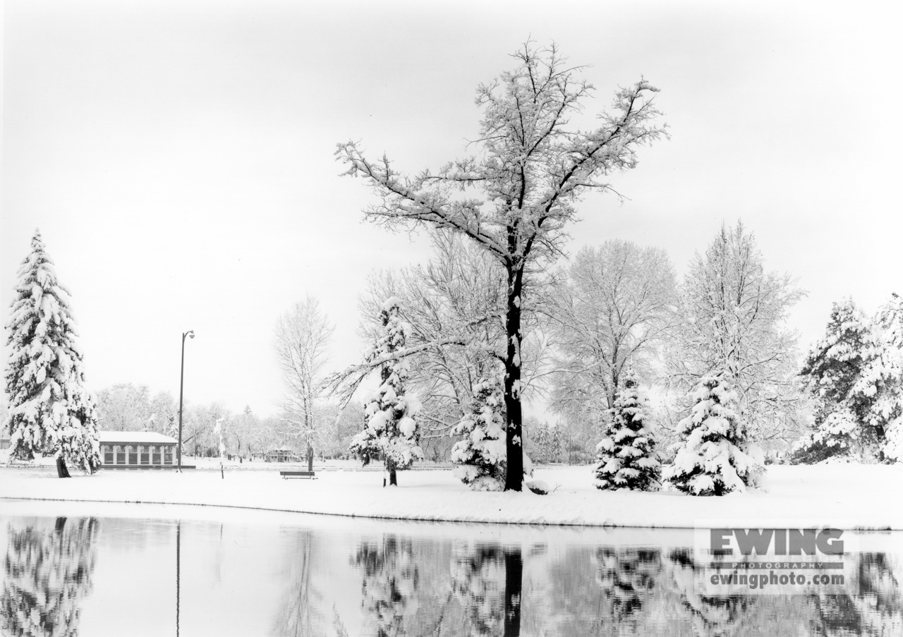 Elm Tree & Boat House, Washington Park Denver, Colorado #18694