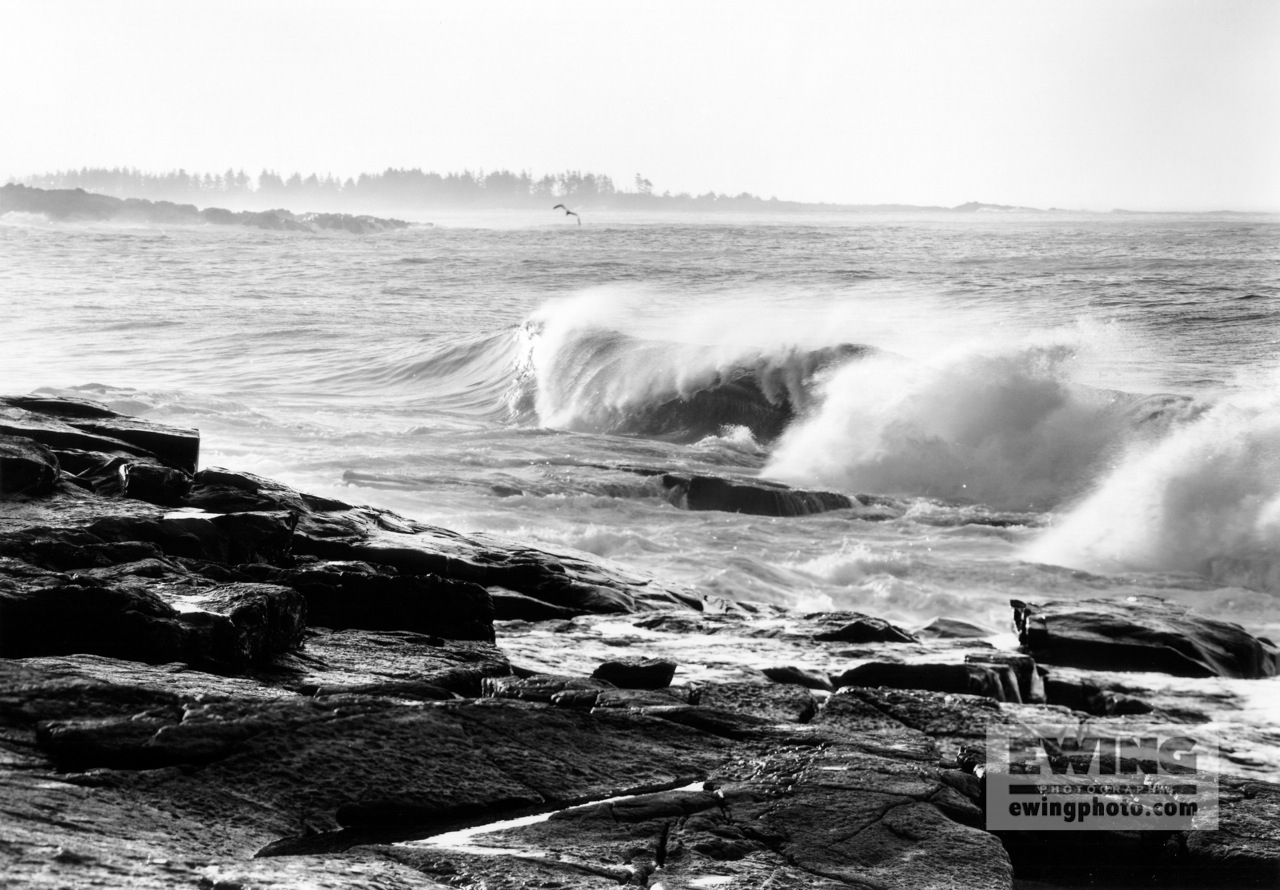 Hurricane Felix Schoodic Point, Maine