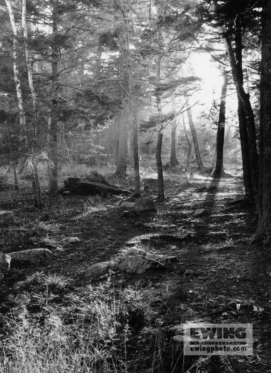 Giff's Path Sorrento, Maine 