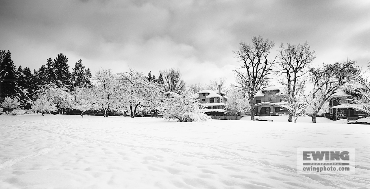 Little Cheesman Park Denver, Colorado