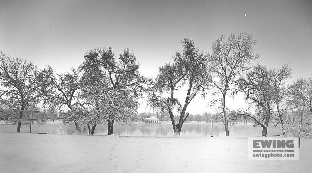 Early Morning Moon, Washington Park Denver, Colorado 