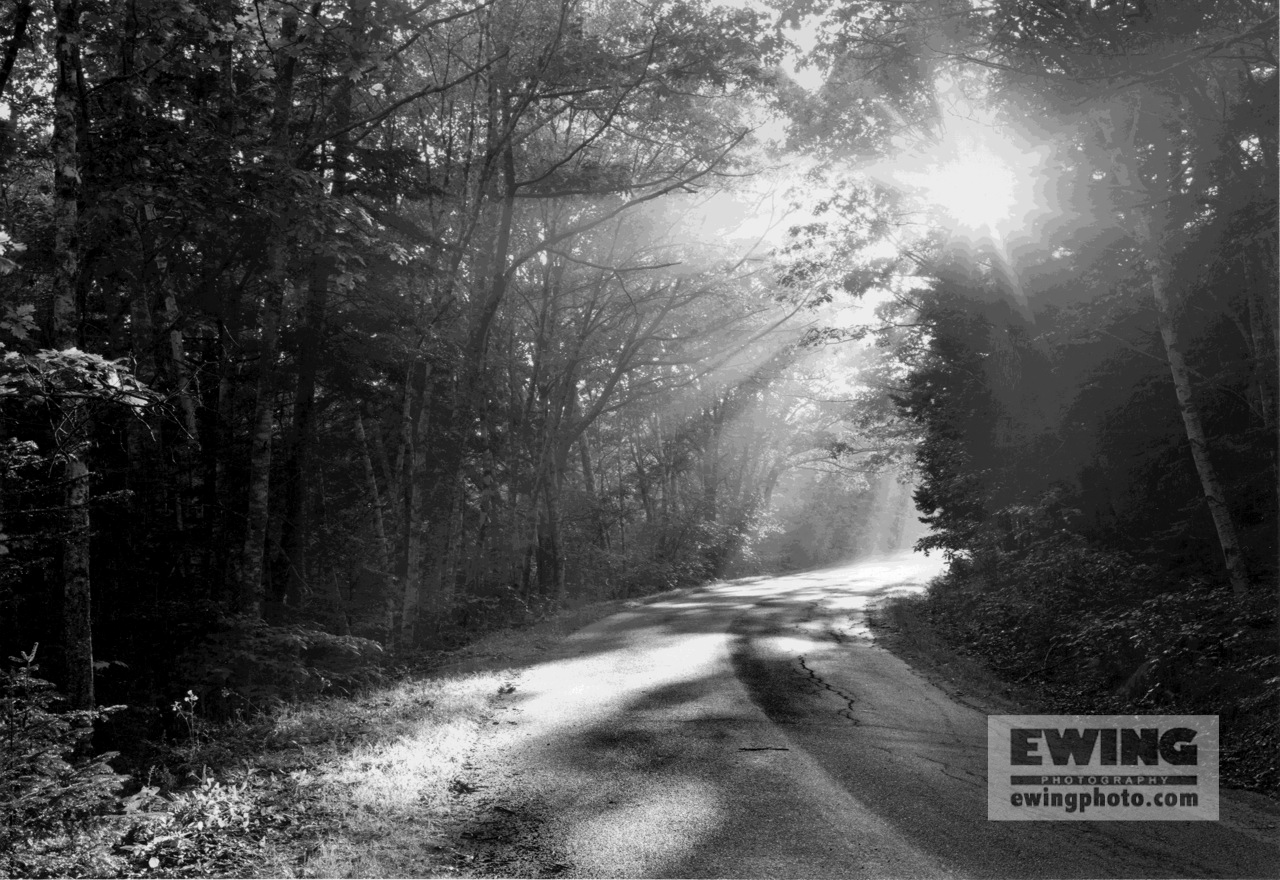 Harriet's Road Sorrento, Maine 