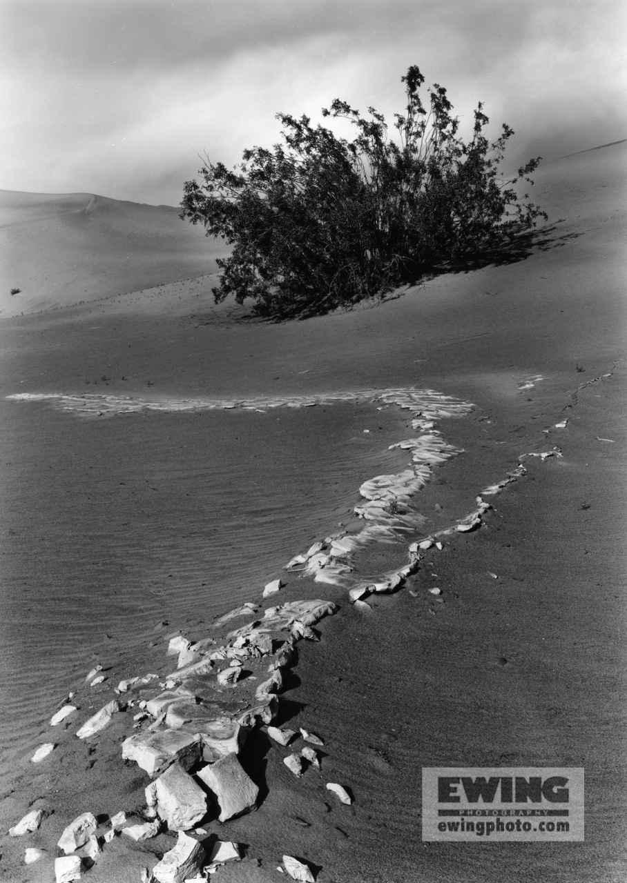 Mesquite Flat Sand Dunes Death Valley California 