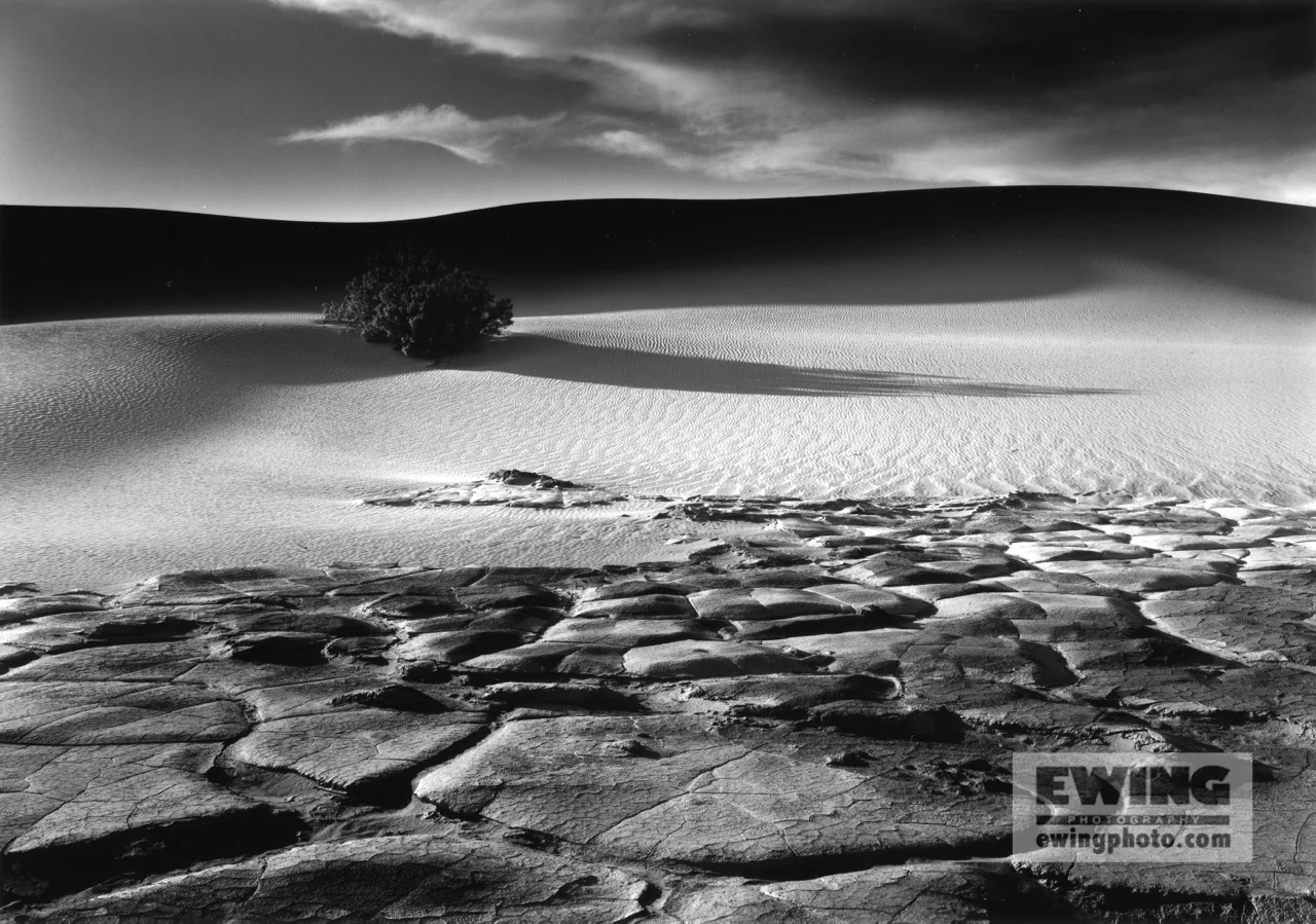 Mesquite Flat Sand Dunes Death Valley California