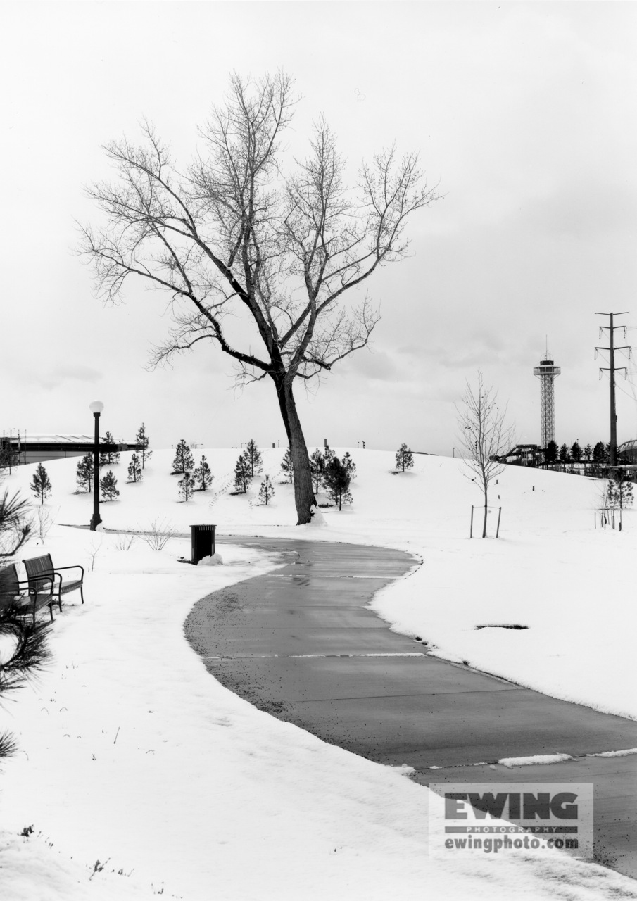 Little Raven Park, Downtown Denver, Colorado #3