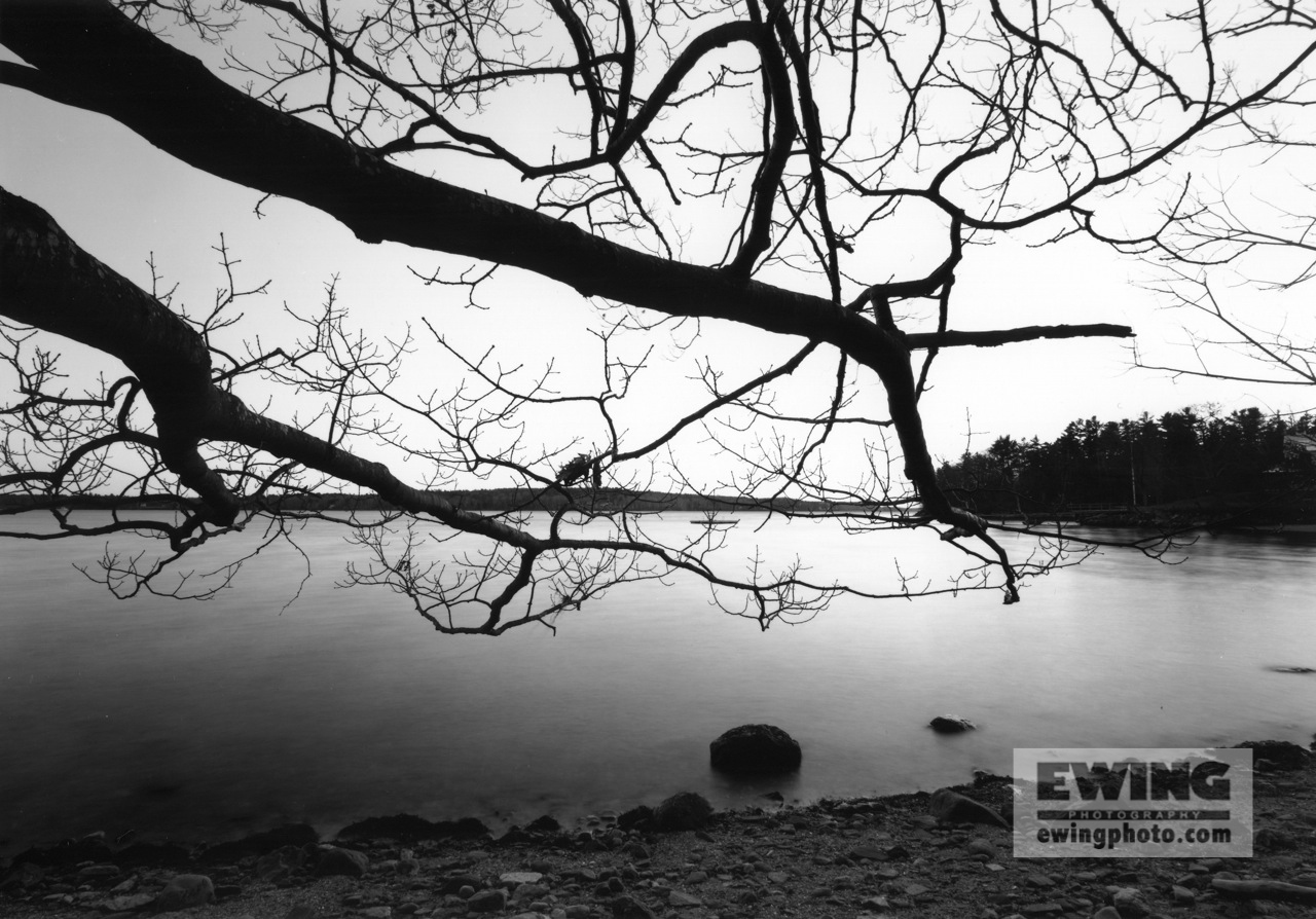 Little Johns Island, South Side Shoreline, Maine