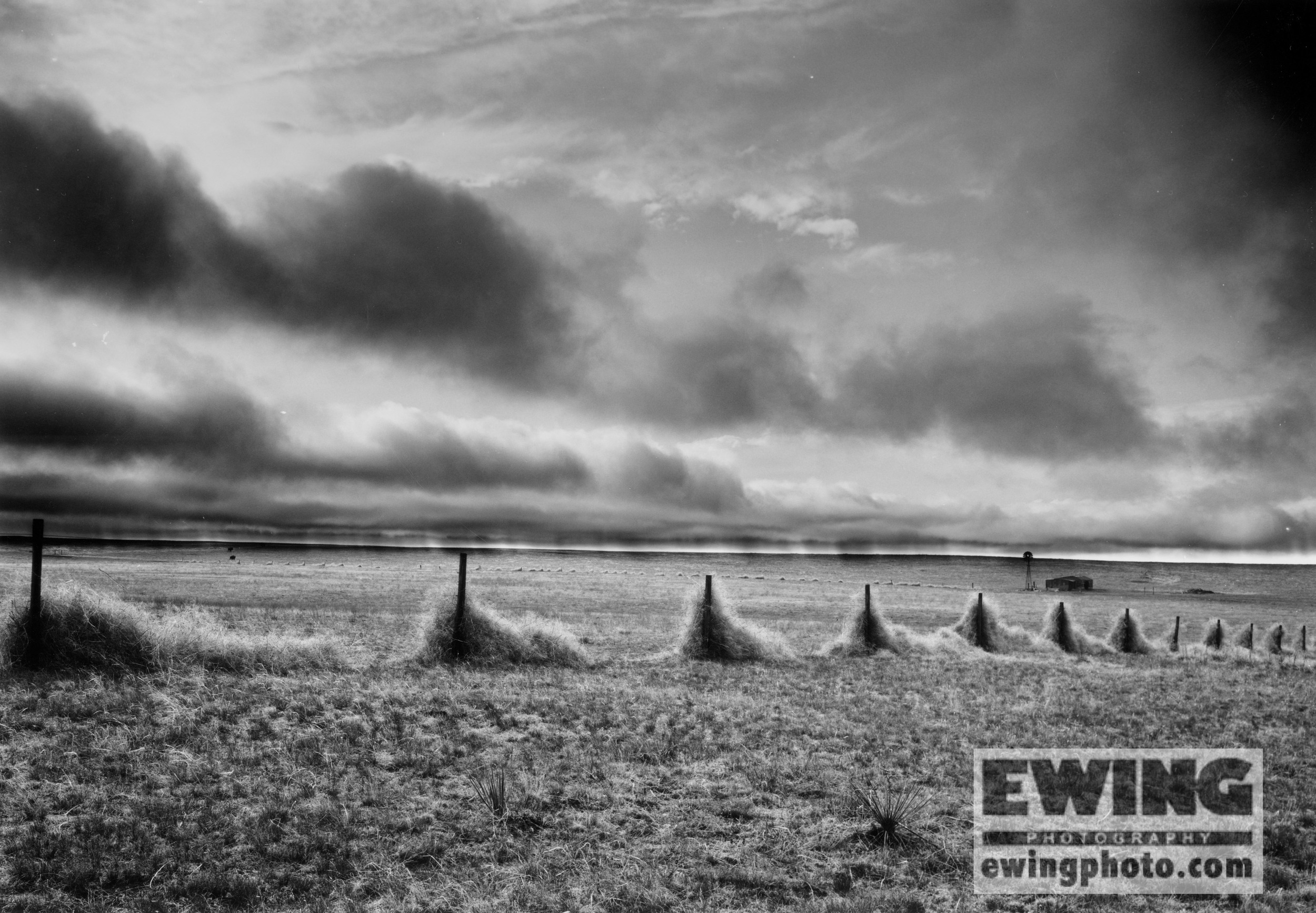 Tumbleweeds In Fenceline Southeast Wyoming