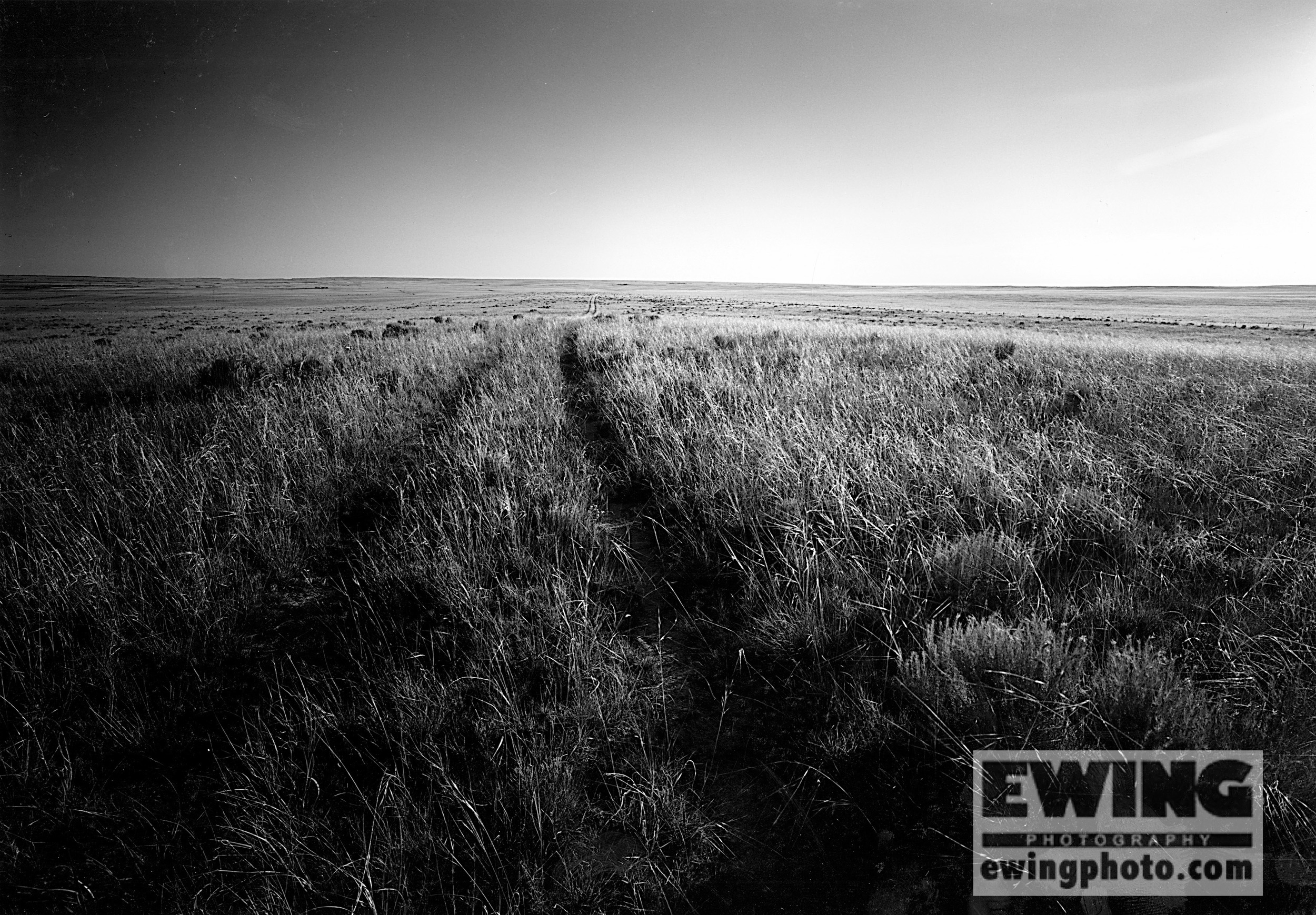 "Two Tracks", Bohart Ranch Colorado