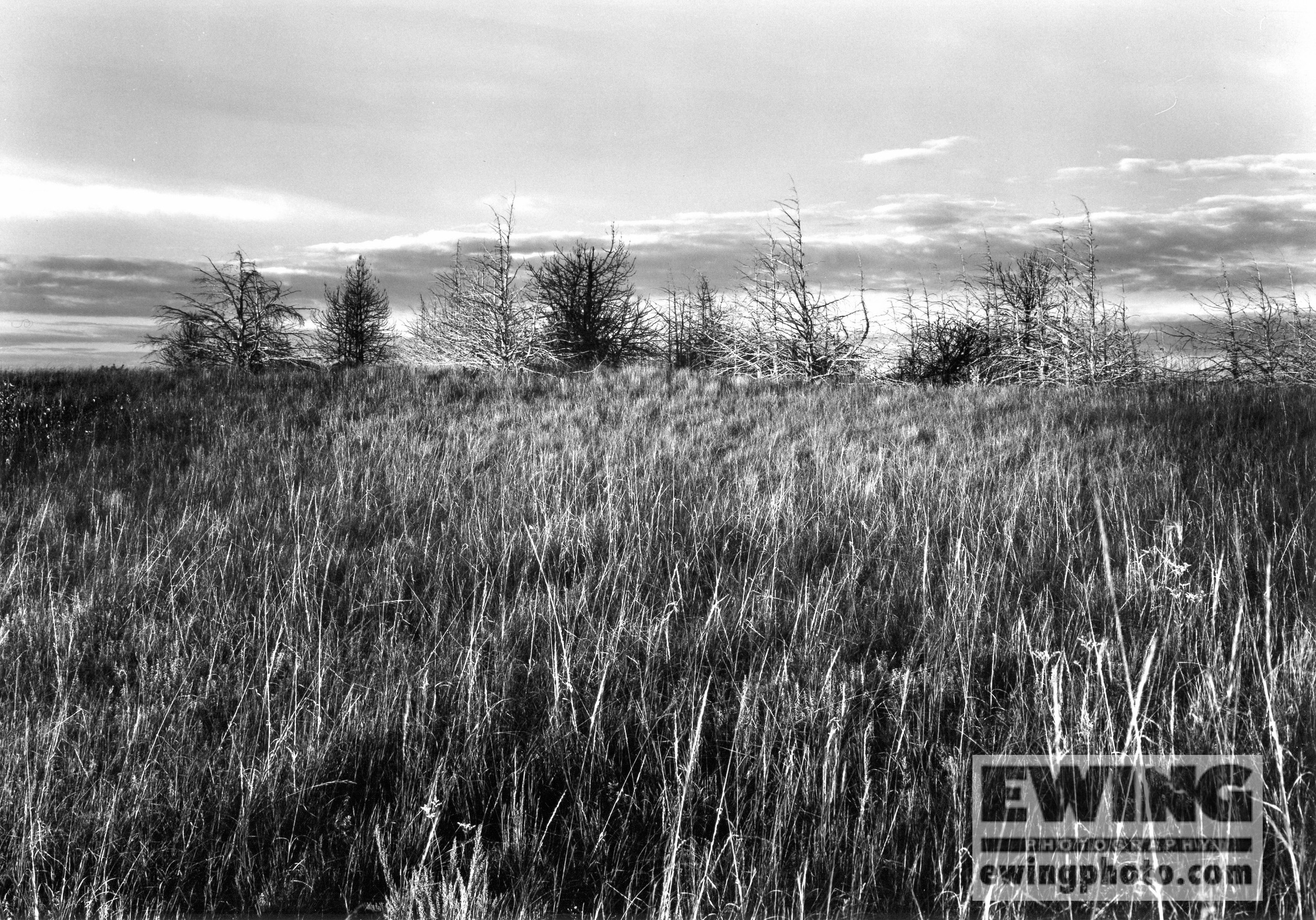 Merrill Reservior Nebraska