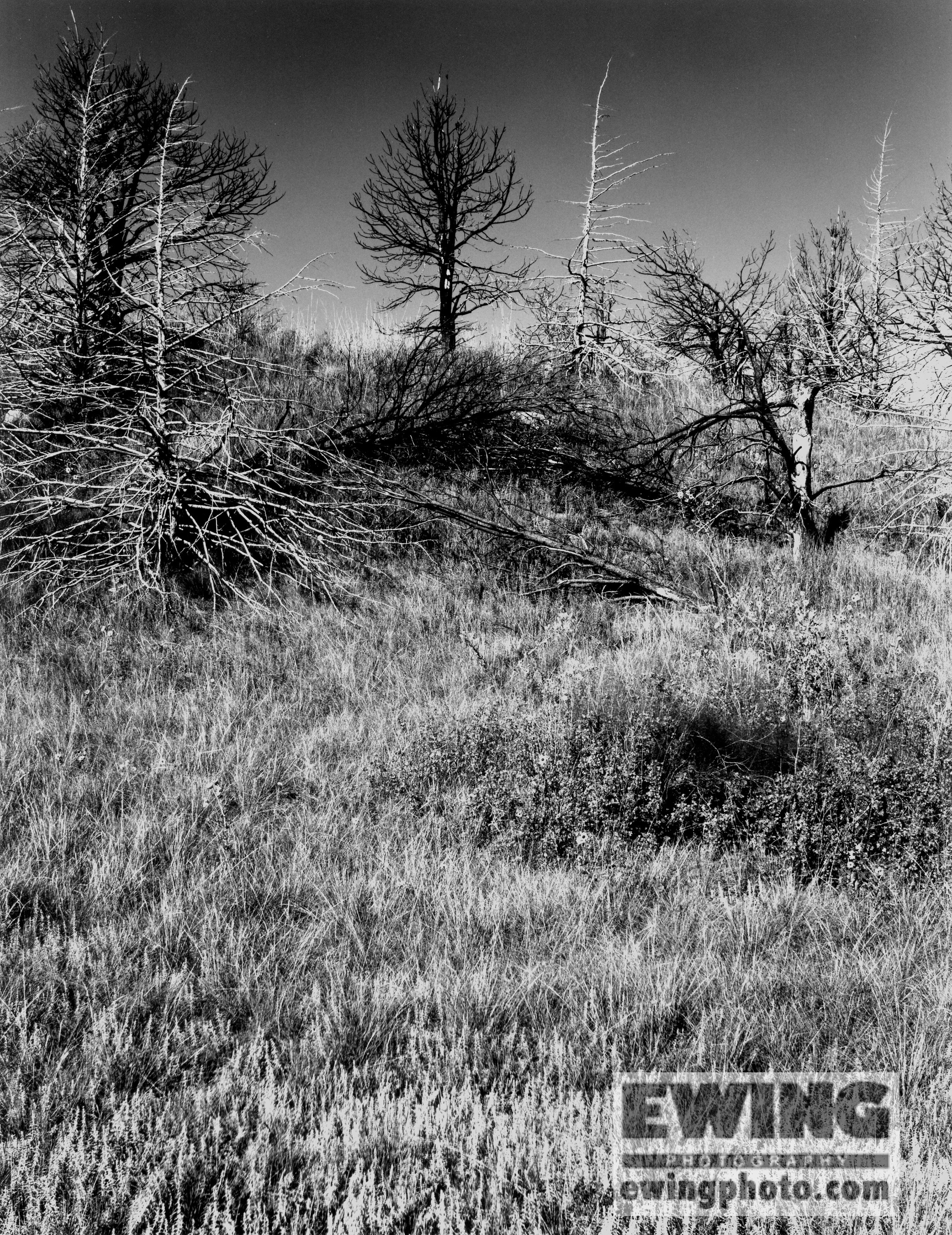 Merrill Reservior Nebraska