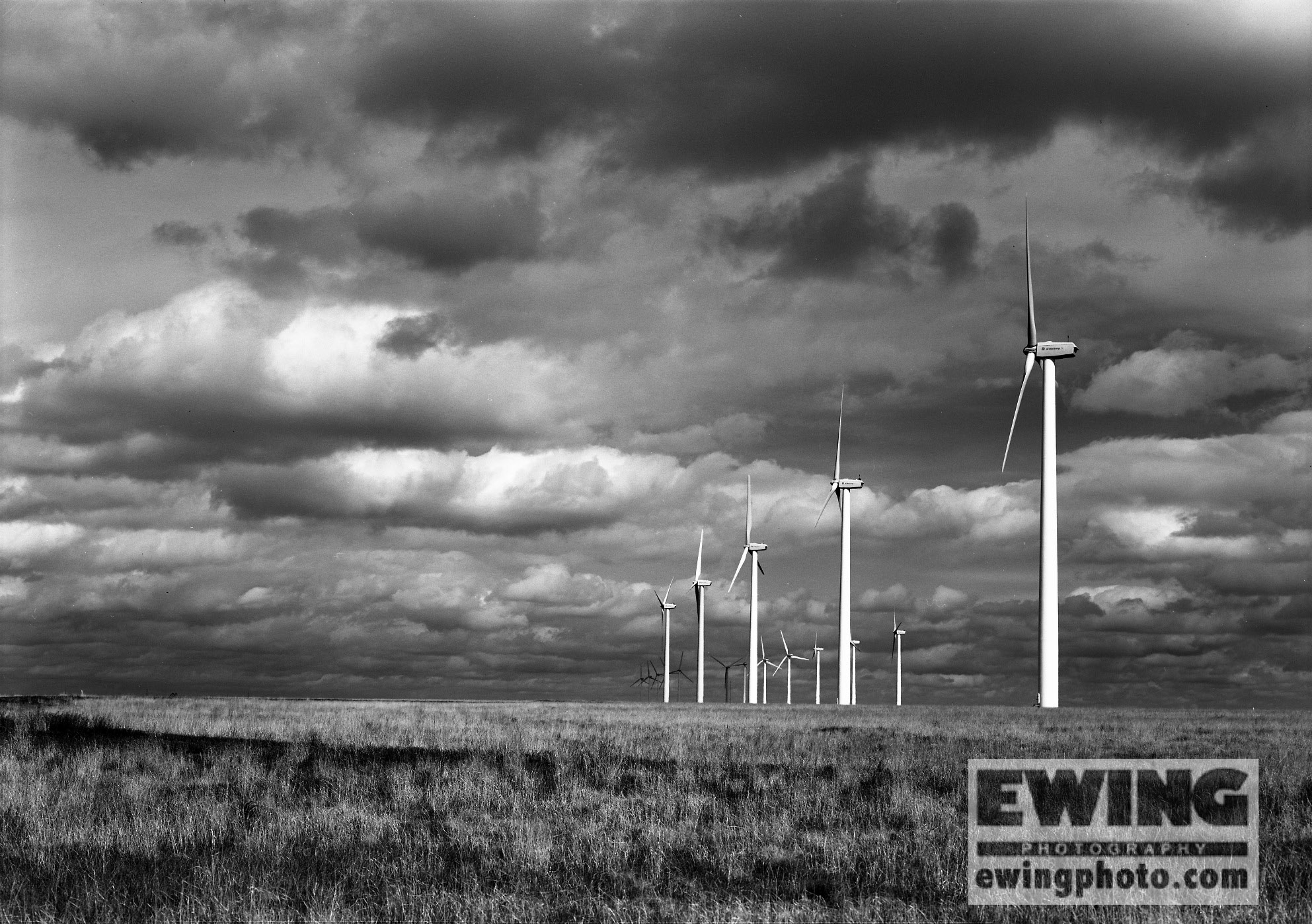 Windmills, Baca County, Colorado 