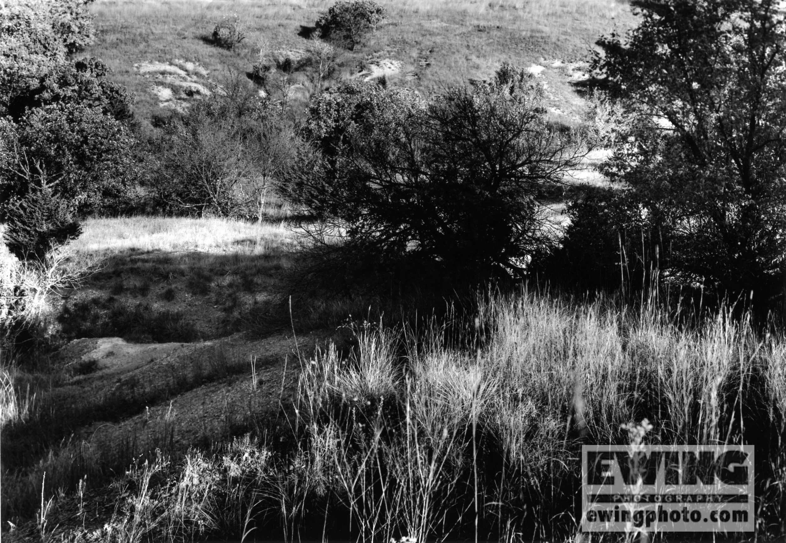 The Land Institute, Hagg Property, Salina, KS