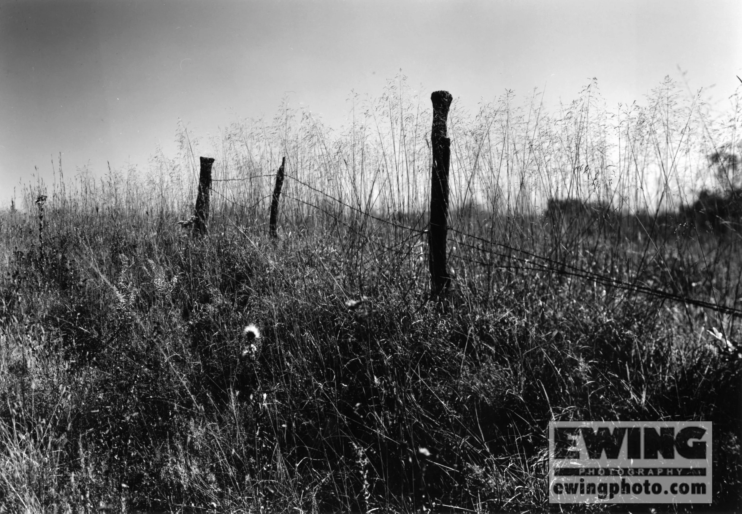 The Land Institute, Hagg Property, Salina, KS