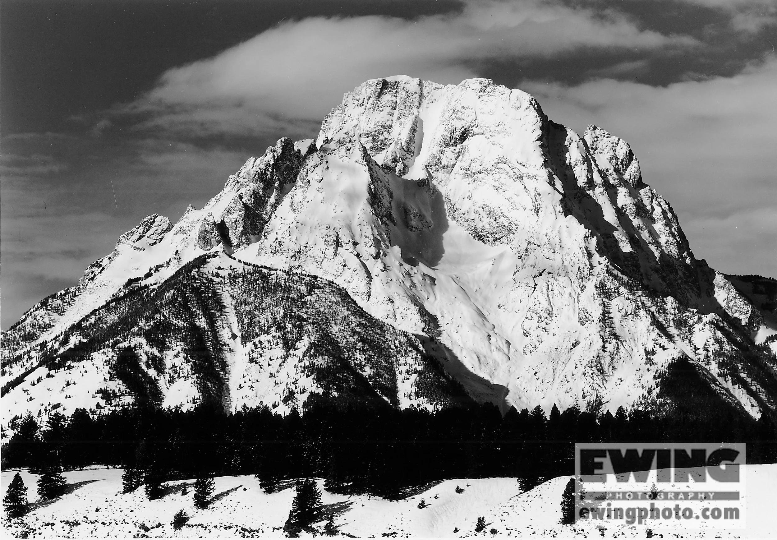 Morning Light, Mt Moran Teton National Park, Wyoming