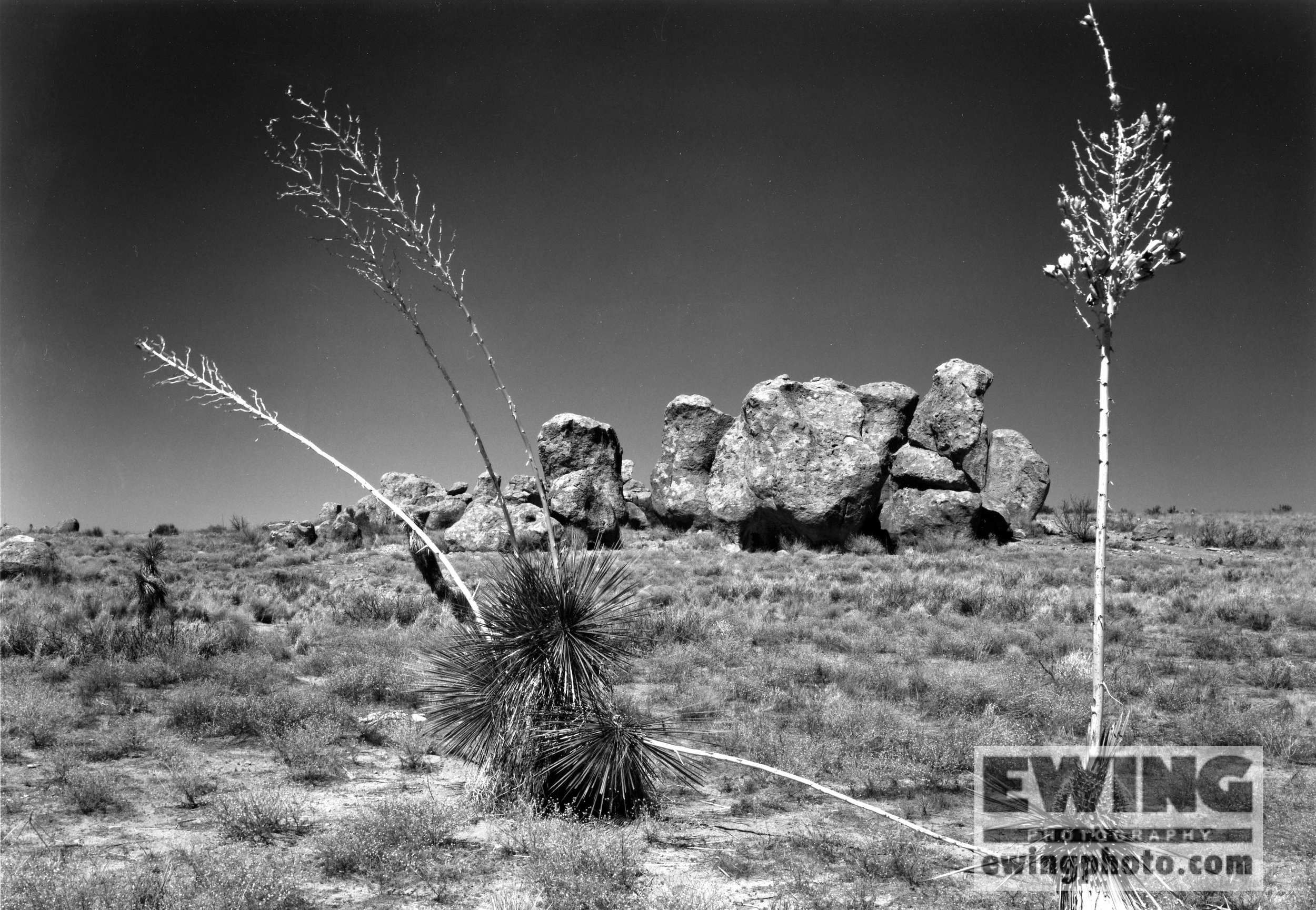 City of Rocks, New Mexico