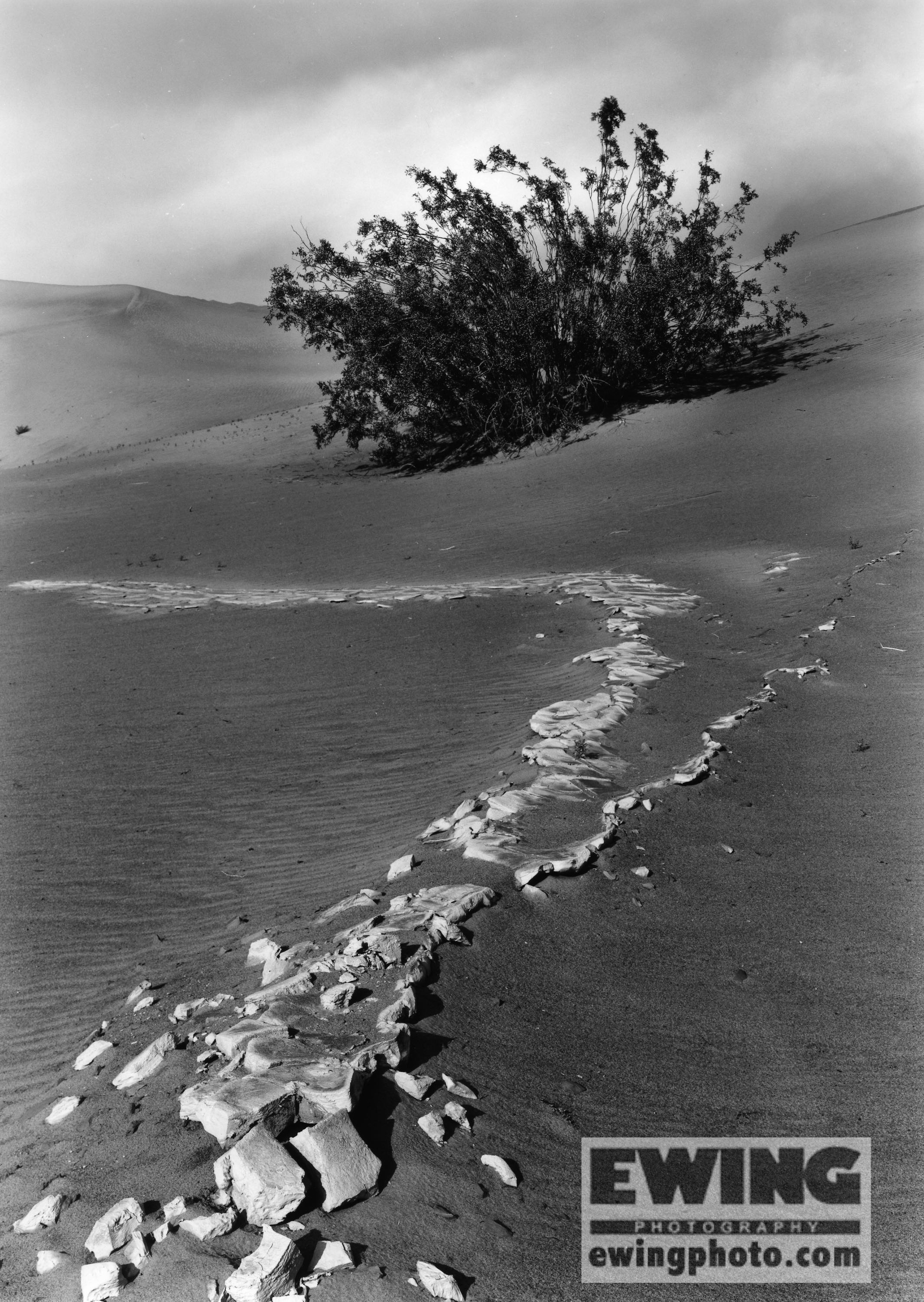 Mesquite Flat Sand Dunes Death Valley California